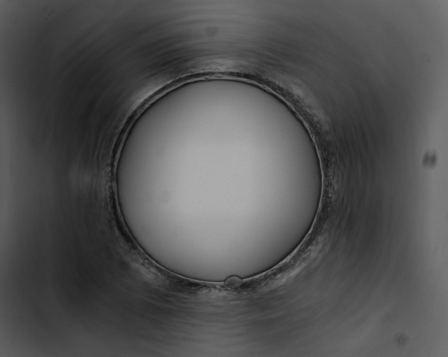 X0000102821073200809081126