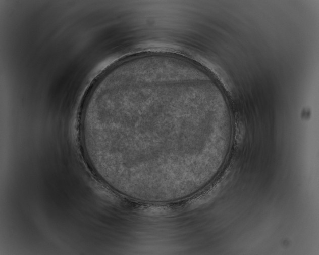 X0000102821074200809081126