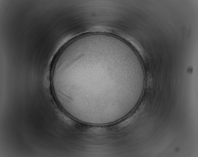 X0000102821075200809081126