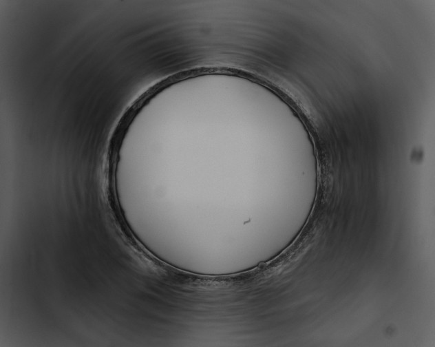 X0000102821076200809081125