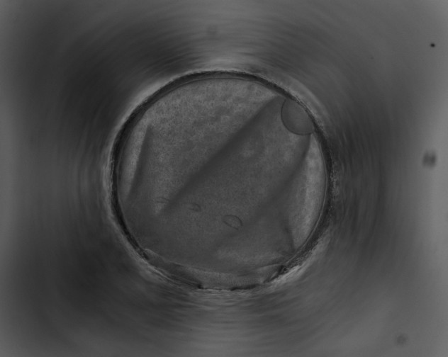 X0000102821077200809081125