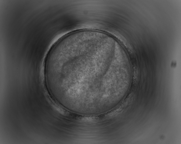 X0000102821078200809081125