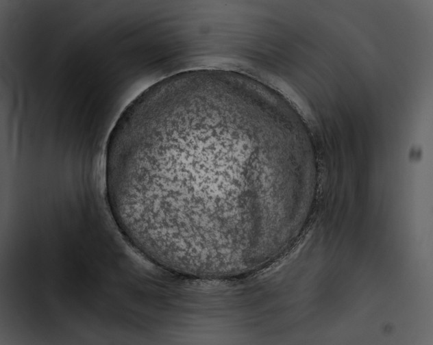 X0000102821079200809081125