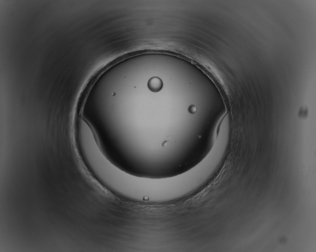 X0000102821080200809081125