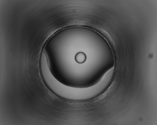 X0000102821081200809081125