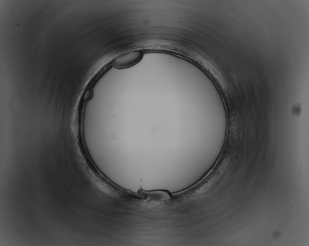 X0000102821082200809081125