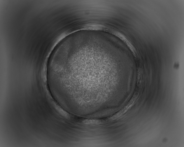 X0000102821083200809081125