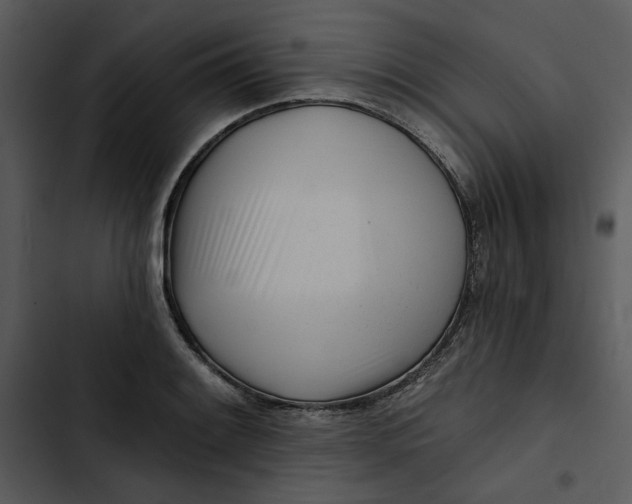 X0000102821084200809081125