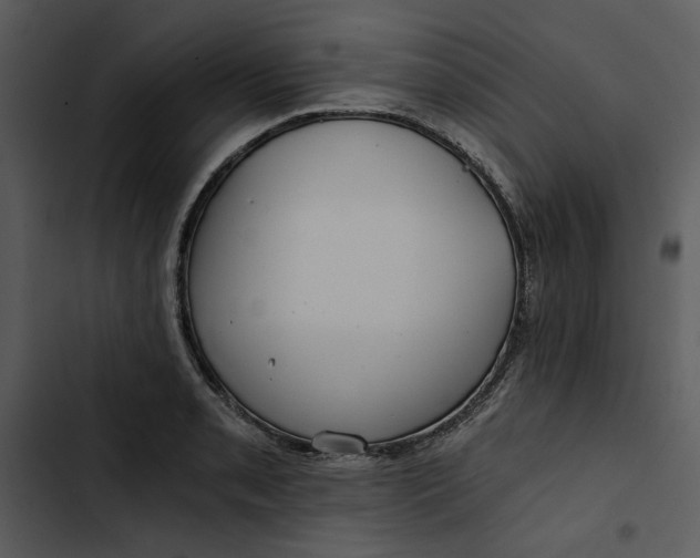 X0000102821085200809081125