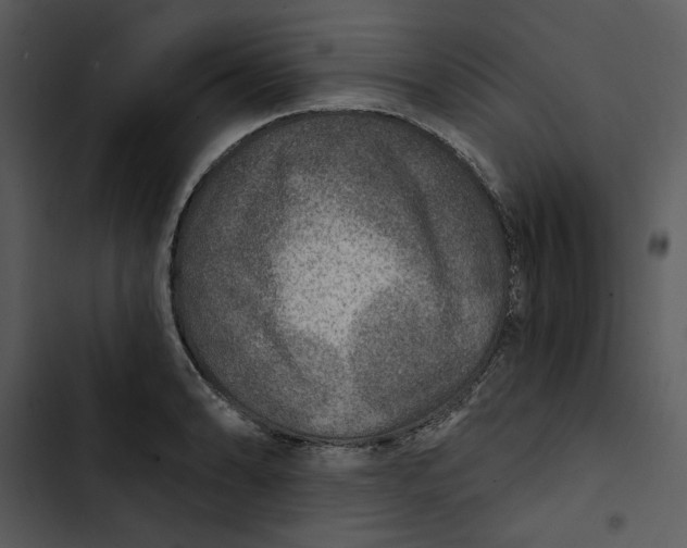 X0000102821086200809081125