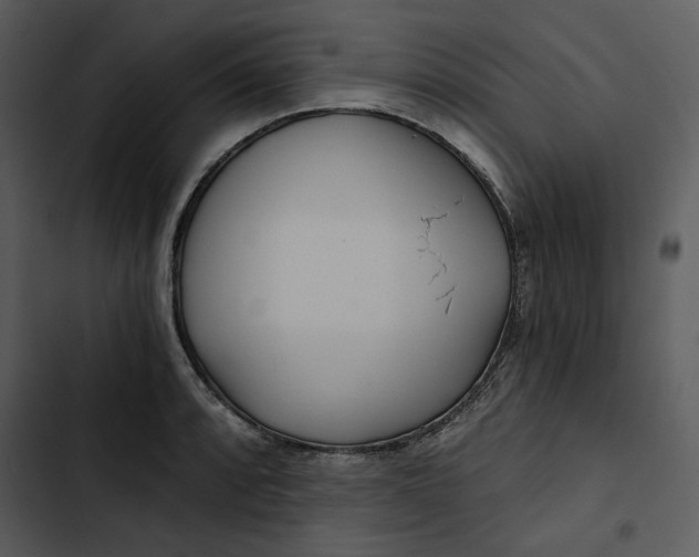 X0000102821088200809081125