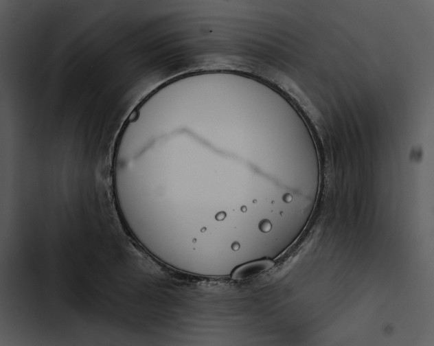 X0000102821089200809081125