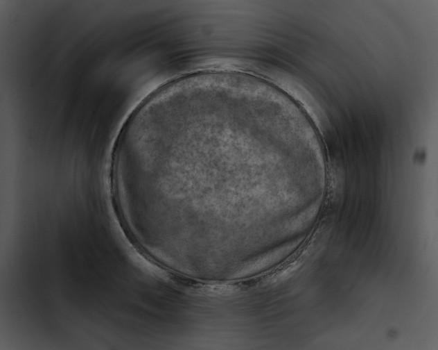 X0000102821090200809081125