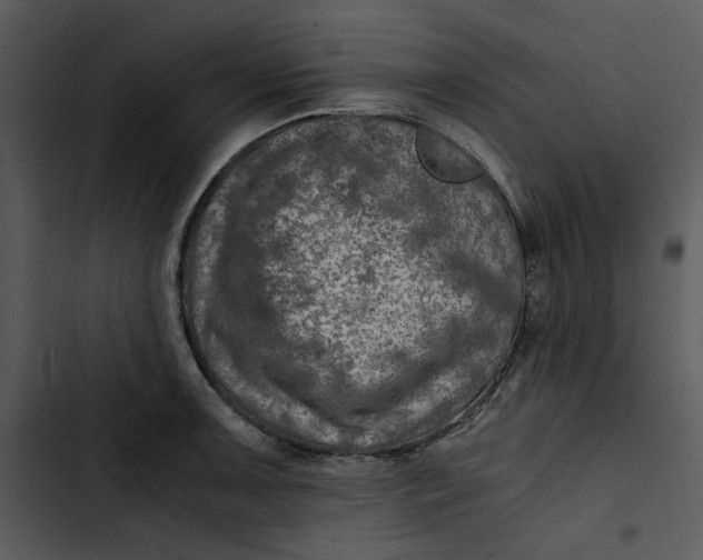 X0000102821091200809081125