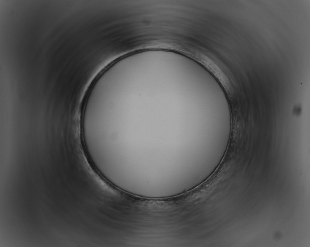 X0000102821092200809081125