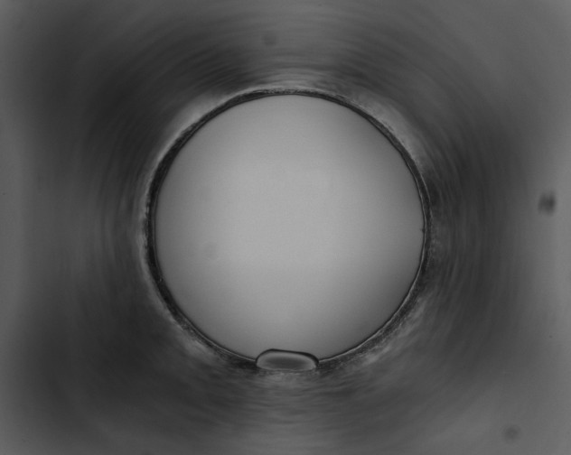 X0000102821093200809081125