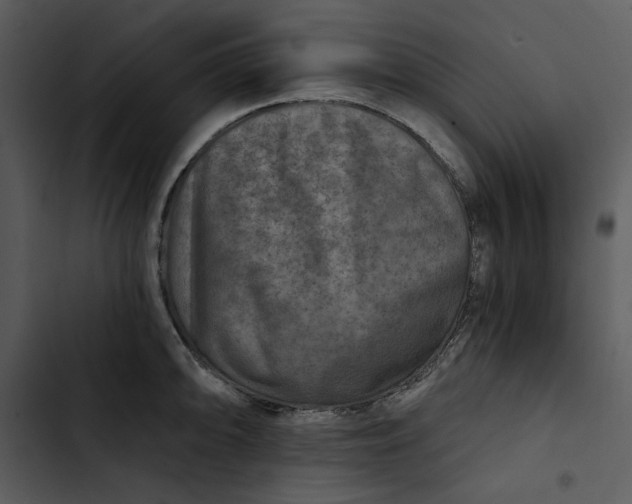 X0000102821094200809081125