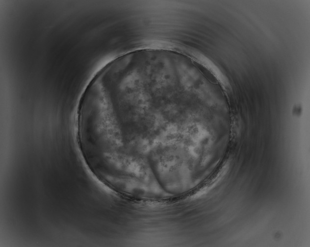 X0000102821095200809081125