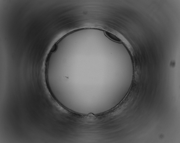 X0000102821096200809081125