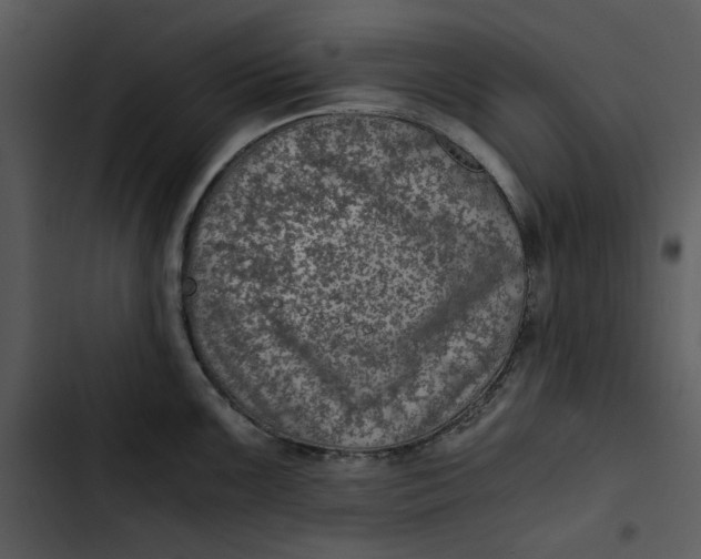 X0000102821099200809081125