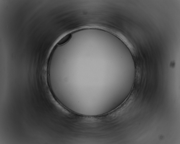 X0000102821100200809081125