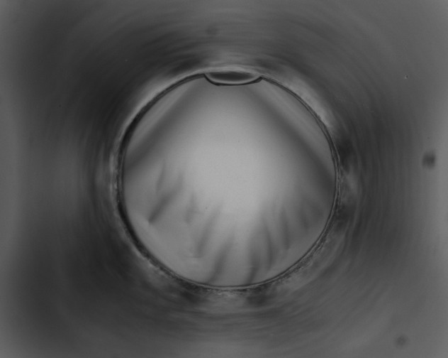 X0000102821101200809081125