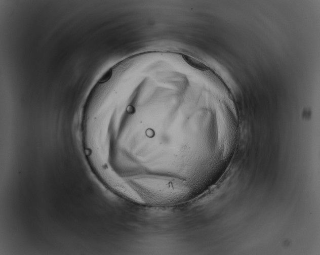 X0000102821103200809081125