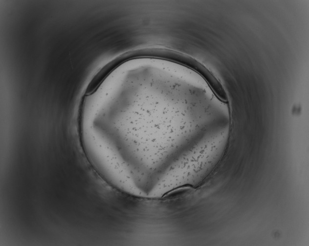 X0000102821104200809081125