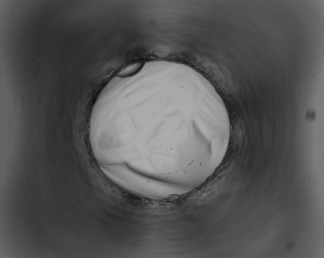 X0000102821105200809081124