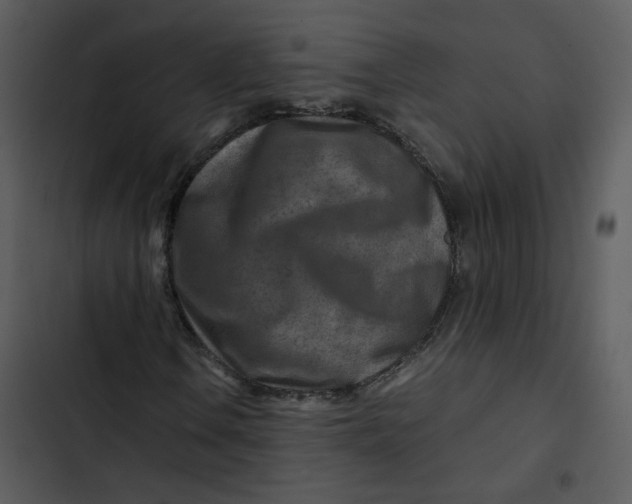 X0000102821106200809081124