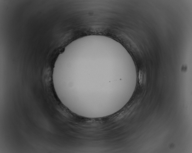 X0000102821107200809081124