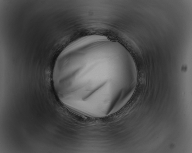 X0000102821108200809081124