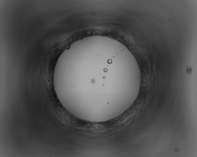 X0000102821109200809081124