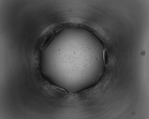 X0000102821110200809081125