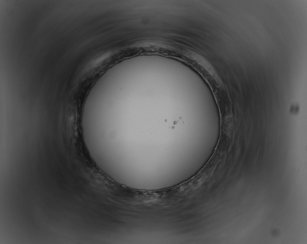 X0000102821111200809081125