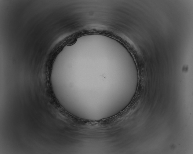 X0000102821112200809081125