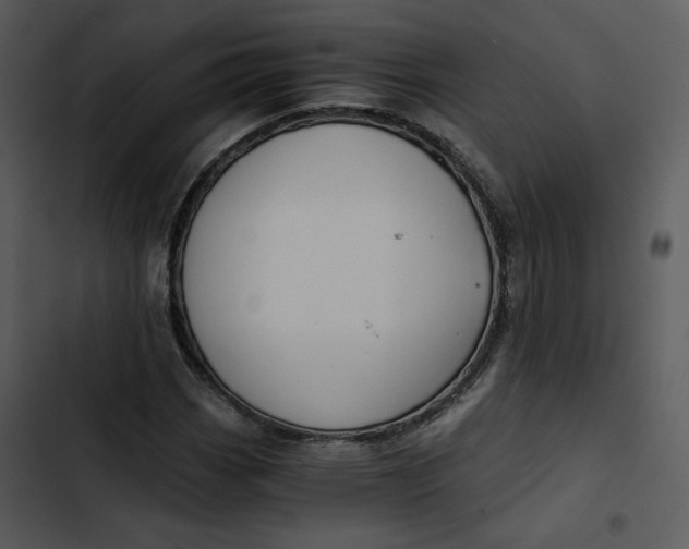 X0000102821113200809081125