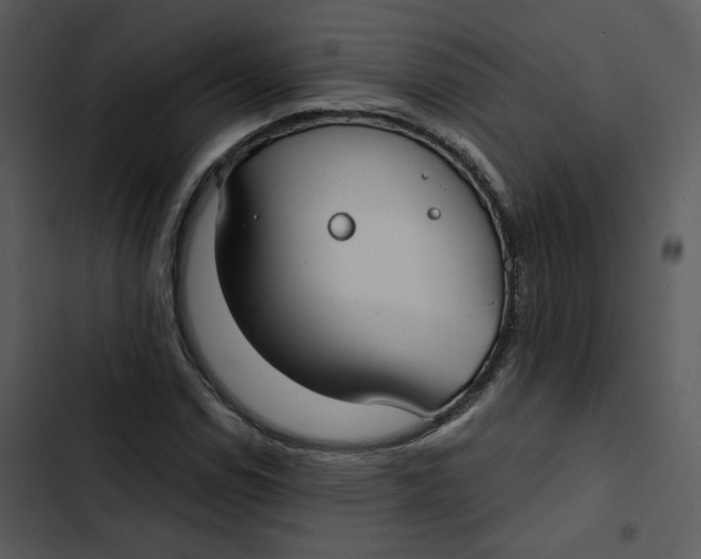 X0000102821114200809081125