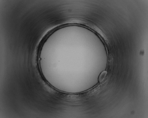 X0000102821116200809081125