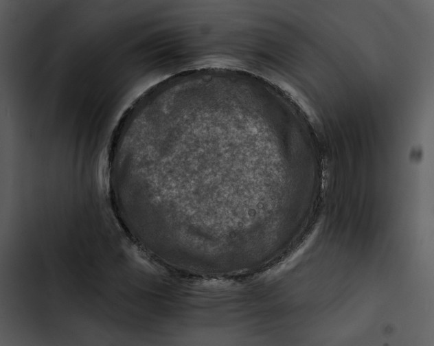 X0000102821117200809081125