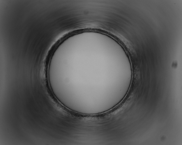 X0000102821118200809081125