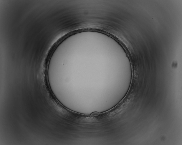 X0000102821119200809081125