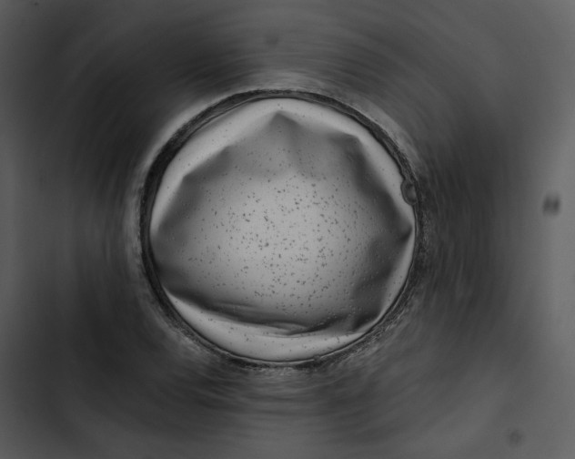 X0000102821120200809081125