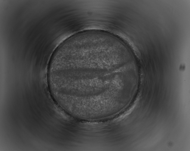 X0000102821121200809081125