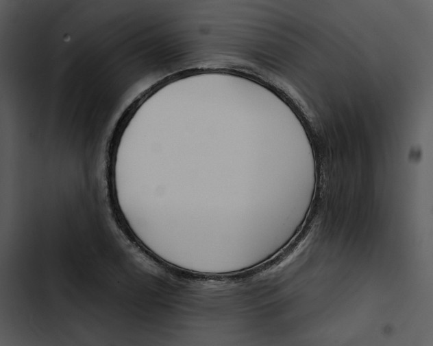 X0000102821122200809081125