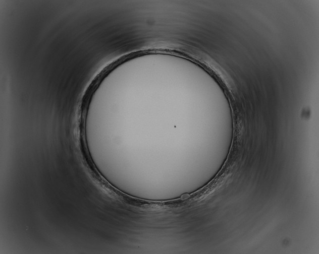 X0000102821124200809081125