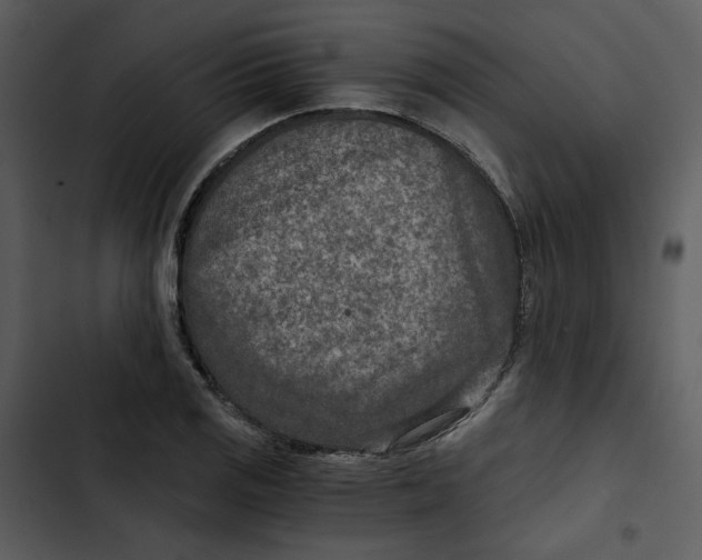 X0000102821125200809081125