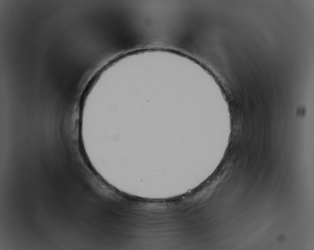 X0000102821126200809081125