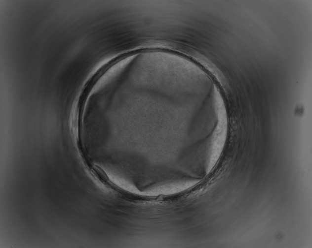 X0000102821127200809081125