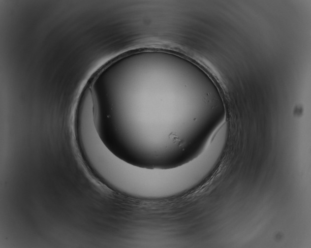 X0000102821128200809081125